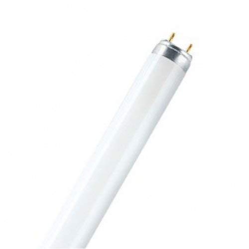 L38W/83031 LUMILUX T8 L-Lampe, warmton, 1047mm