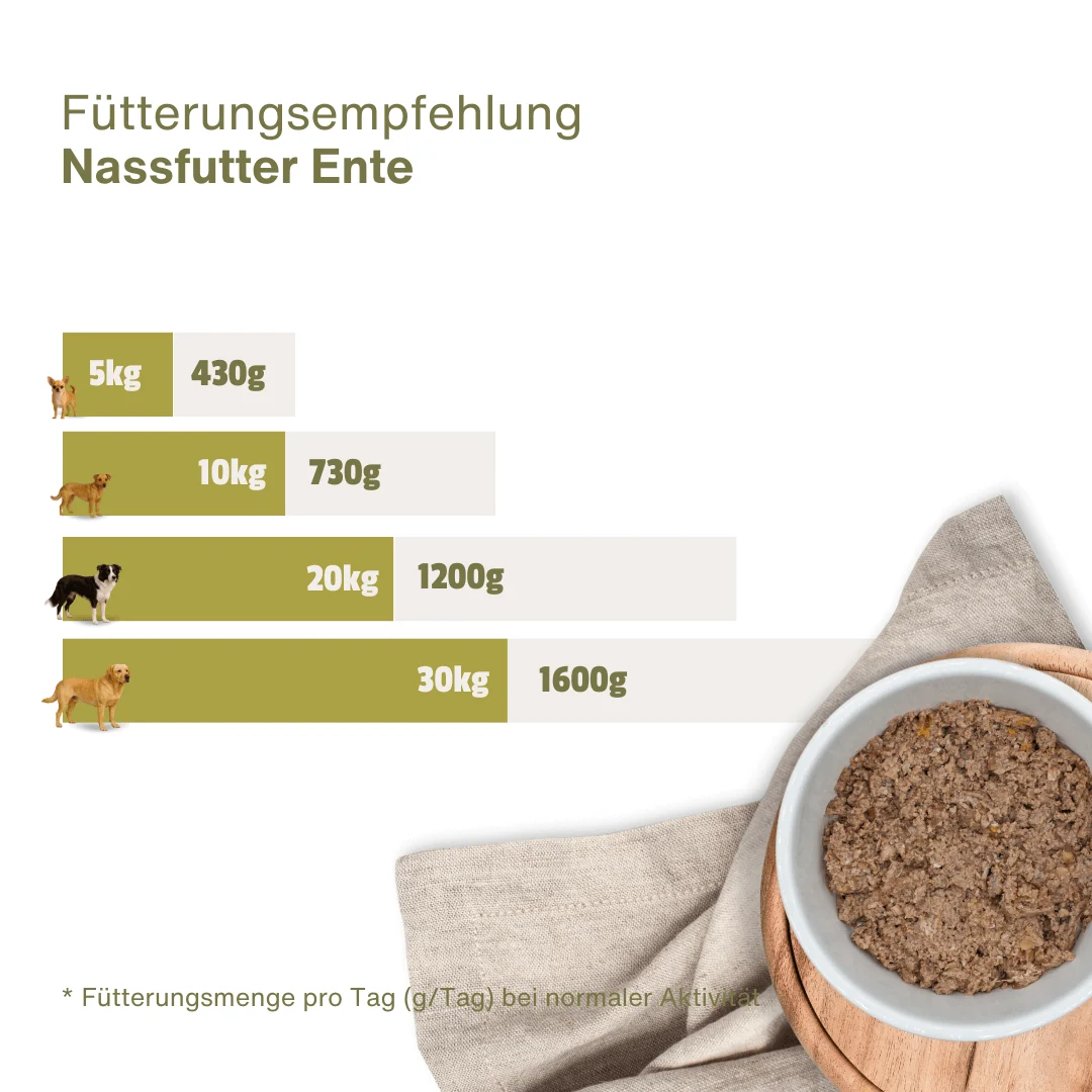 Ente Bayerisch – Bild 4